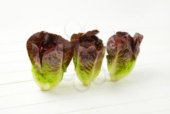 three heads of fresh lettuce standing on white wooden background