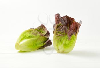 two heads of fresh lettuce on white wooden background