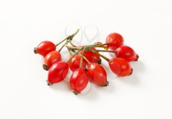 twigs of rose hips on white background