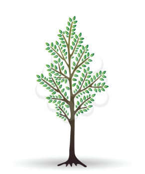 Stylized abstract young tree isolated on white background. Vector illustration. Perfect for logotype, Interior Design.