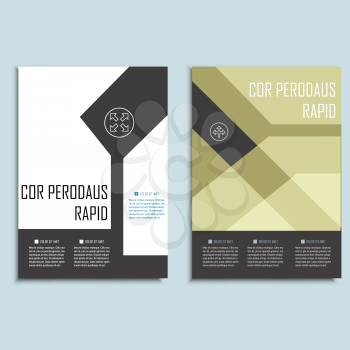 Vector brochures template for presentations, covers, books and business documents.