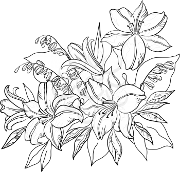 Flowers and leaves lily and mine, vector, monochrome contours