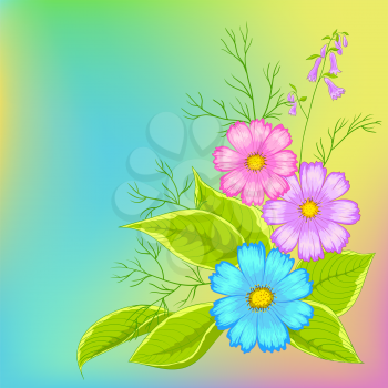Flower vector background, cosmos flowers on green and yellow