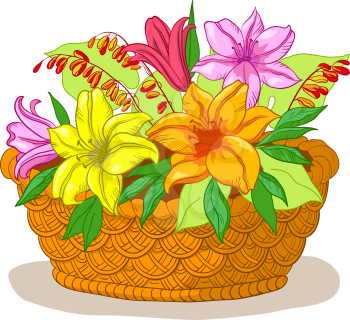 Vector, wattled basket with flowers lily and green leaves
