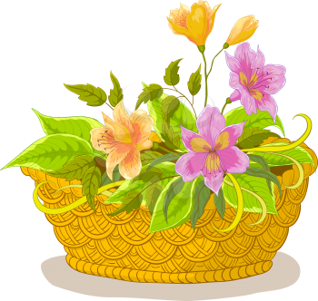Wattled basket with flowers alstroemeria and green leaves. Vector