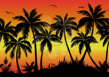 Exotic Horizontal Seamless Landscape, Palm Trees, Plants, Ocean and Birds Gulls Black Silhouettes. Eps10, Contains Transparencies. Vector