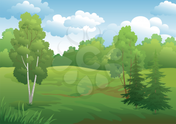 Landscape, green summer forest with fir and birch trees and cloudy sky. Vector