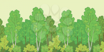 Seamless background, green summer forest with birch trees and bushes. Vector