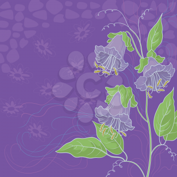 Floral background, Kobe flowers and abstract pattern. Vector