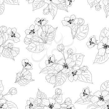 Seamless Floral Pattern, Apple Tree Flowers, Black Contours Isolated on White Background. Vector