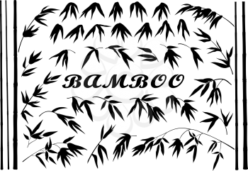 Exotic Background, Tropical Bamboo Plants Trunks, Stems, Branches and Leaves Black Silhouettes Isolated on White Background. Vector