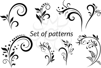 Set of Vintage Calligraphic Elements, Floral Patterns Black Silhouettes Isolated on White Background. Vector