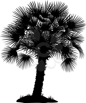 Tropical Palm Tree with Leaves and Grass, Black Silhouettes Isolated on White Background. Vector