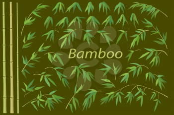 Exotic Background, Tropical Bamboo Plants Trunks, Stems, Branches and Green Leaves. Vector