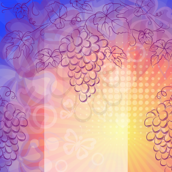 Grape Bunches and Leaves Purple Contours on Abstract Background with Rays, Circles and Butterflies. Vector
