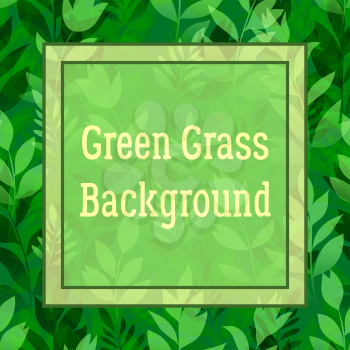 Floral Background, Landscape, Summer or Spring Meadow, Green Grass, Flowers Silhouettes and Frame for Your Text. Vector