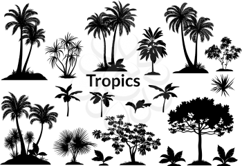 Set Palm Trees, Exotic Landscapes, Tropical Plants and Grass Black Silhouettes Isolated on White Background. Vector