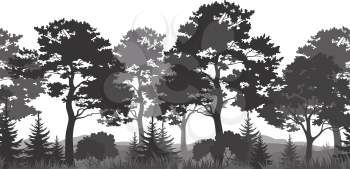 Seamless Horizontal Summer Forest with Pine, Fir Tree, Grass and Bush Black and Gray Silhouettes on White Background. Vector