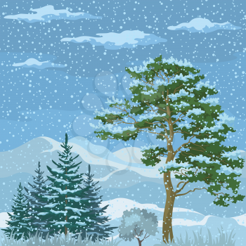Seamless Horizontal Christmas Background, Winter Mountain Landscape with Pine Trees, Firs, Green Grass and Blue Sky with Snow and Clouds. Vector