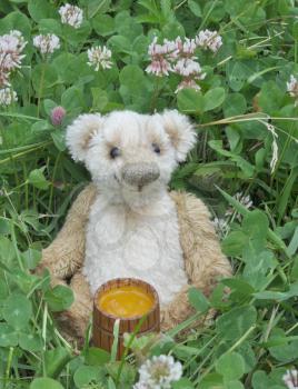 Handmade, the sewed toy: Teddy bear George on a blossoming meadow with a honey keg