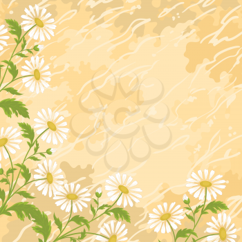 Floral holiday background, pattern with chamomile flowers. Vector