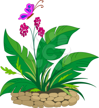 Bed with a Bright Tropical Plant Over Which the Butterfly Flies. Vector