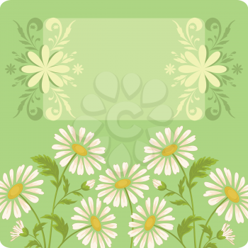 Floral holiday background with chamomile flowers and frame. Vector