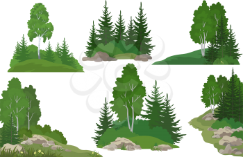 Set Landscapes, Isolated on White Background Coniferous and Deciduous Trees, Flowers and Grass on the Rocks. Vector