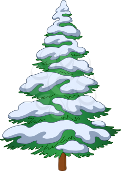 Christmas fir tree with snow, holiday winter symbol, isolated on white. Vector