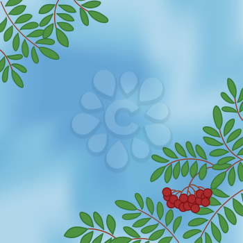 Background with rowanberry branches and berries on blue sky. Vector