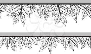 Seamless Floral Pattern with Laurel Bay Leaves Black Contours Isolated on White Background. Vector