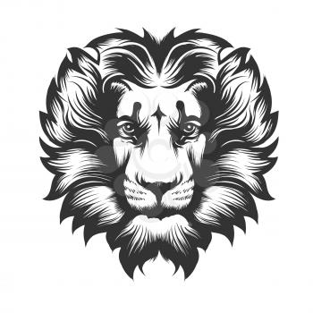 Lion head drawn in engraving style. Good for an emblem and T-shirt graphic or tattoo. Vector illustration isolated on white.