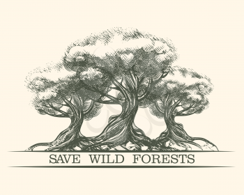 The Trees and lettering Save Wild Forests. Environmental or World Tree Day Theme. Engraving style. Only Free font used. 
