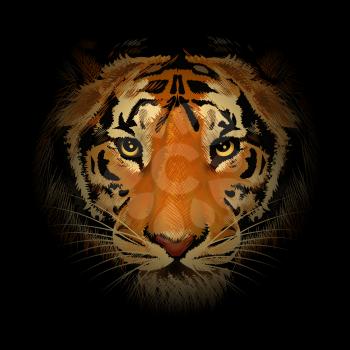 The tiger head in the dark. Illustration in realistic style.