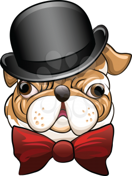 Funny illustration with bulldog in a bowler hat and bow tie drawn in cartoon style