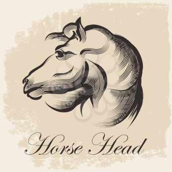 Sketch of Horse Head drawing in retro ink style. Vector Illustration.