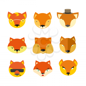 Set foxes. Vector  muzzle  different nature