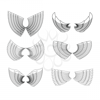 Wings Set. Vector illustration