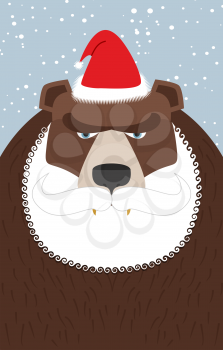 Russian Santa Claus-bear. Wild animal with beard and moustache. Traditional new years beast.
