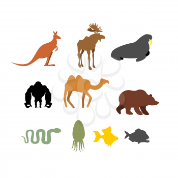 Set of wild animals on  white background. Silhouettes of Animals and fish. Kangaroo and moose. Seal and Black Gorilla. Camel and brown bear. Snake and Piranha