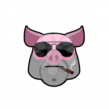 Angry boar. Pig head with glasses and a cigarette. Animal farm is a bully. Logo of the animal.
