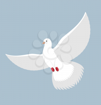 White Dove. Flying White pigeon. Bird with wings. White Dove symbol of peace.
