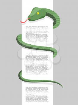 Snake wraps around. With space for text. Vector illustration. Reptile wrapped around a blank sign. 
