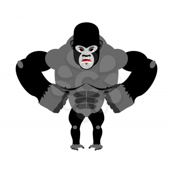 Angry gorilla on its hind legs. Aggressive Monkey on white background. Wild wrathful animal. Large ferocious predator. African strong beast