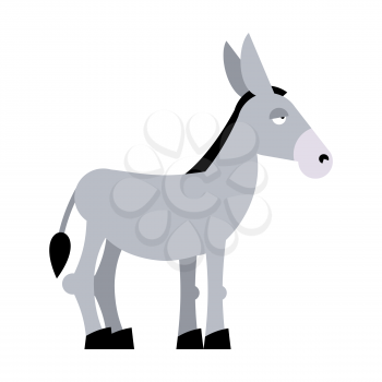 Donkey on white background. Donkey isolated. Cartoon donkey. domestic stubborn  Mule
