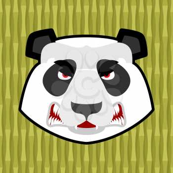 Panda angry. Furious Chinese bear. Animal furious. Aggressive wild beast