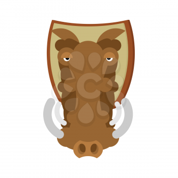 Warthog hunting trophy. Head wild boar on shield. African pig decoration
