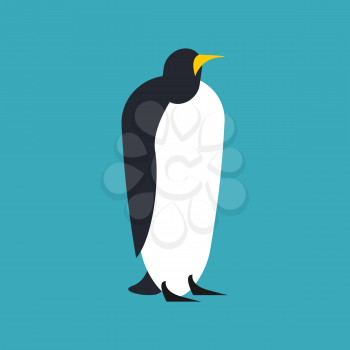 Penguin isolated. Animal north pole. Bird Antarctica and Arctic
