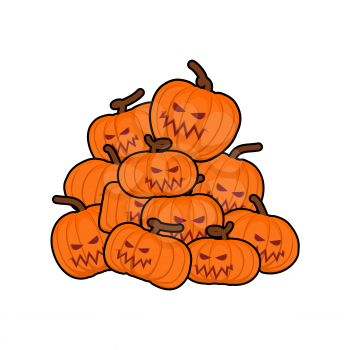 pumpkins pile for Halloween. Lot of vegetables for holiday
