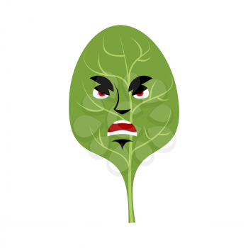Spinach angry Emoji. Green leaves grumpy emotion isolated